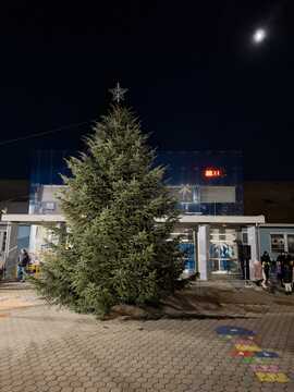 Prižig lučk 2025 (1)